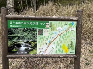 苔の森D