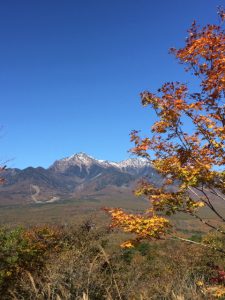 晩秋の八ヶ岳①