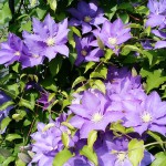 IMG_20160606_150027